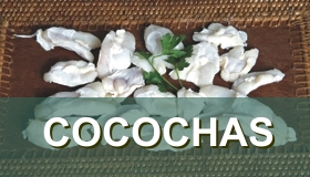 Cocochas